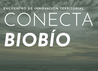 Conecta Biobío: Encuentro de Innovación Territorial